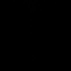 Meet your Posher, Lys